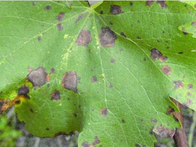 1531993047379540.jpg 201707121515131.jpg